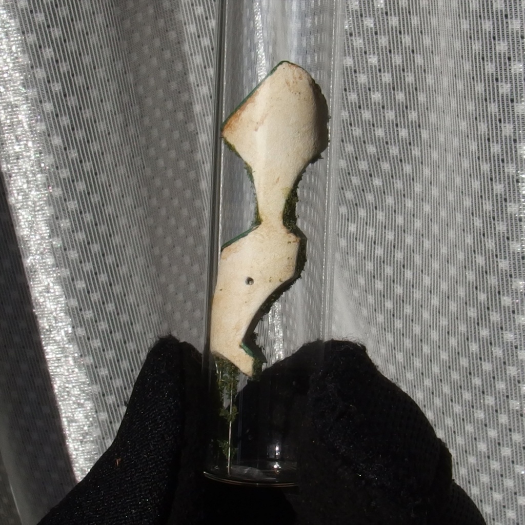 2019円筒路地・緑