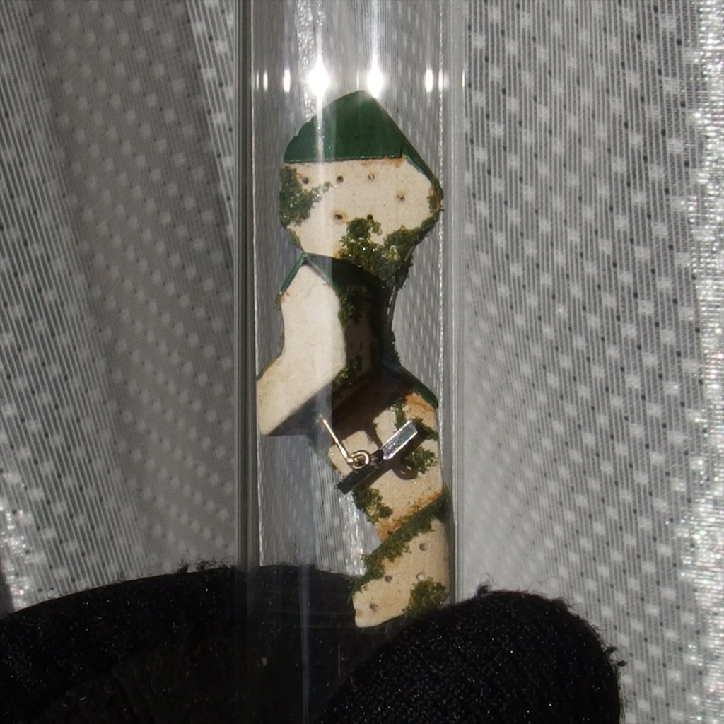 2019円筒路地・緑