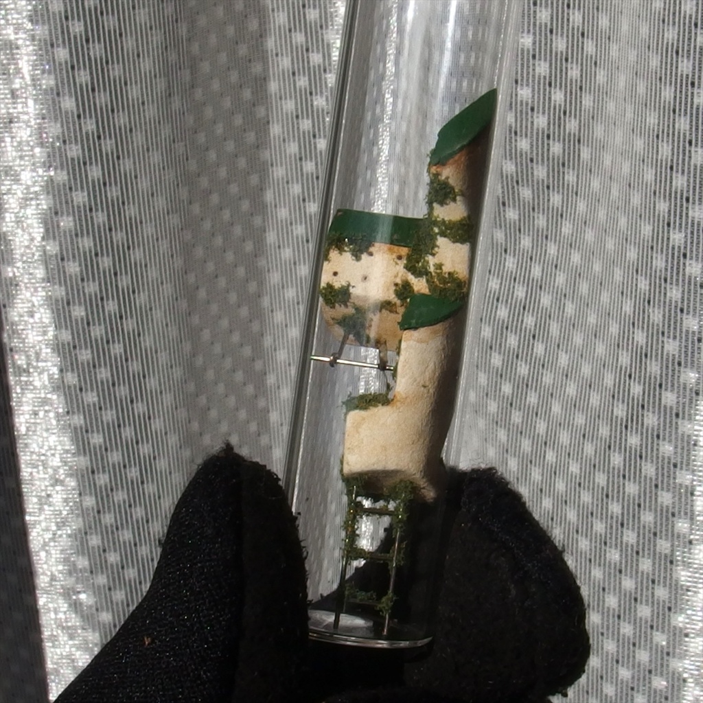 2019円筒路地・緑