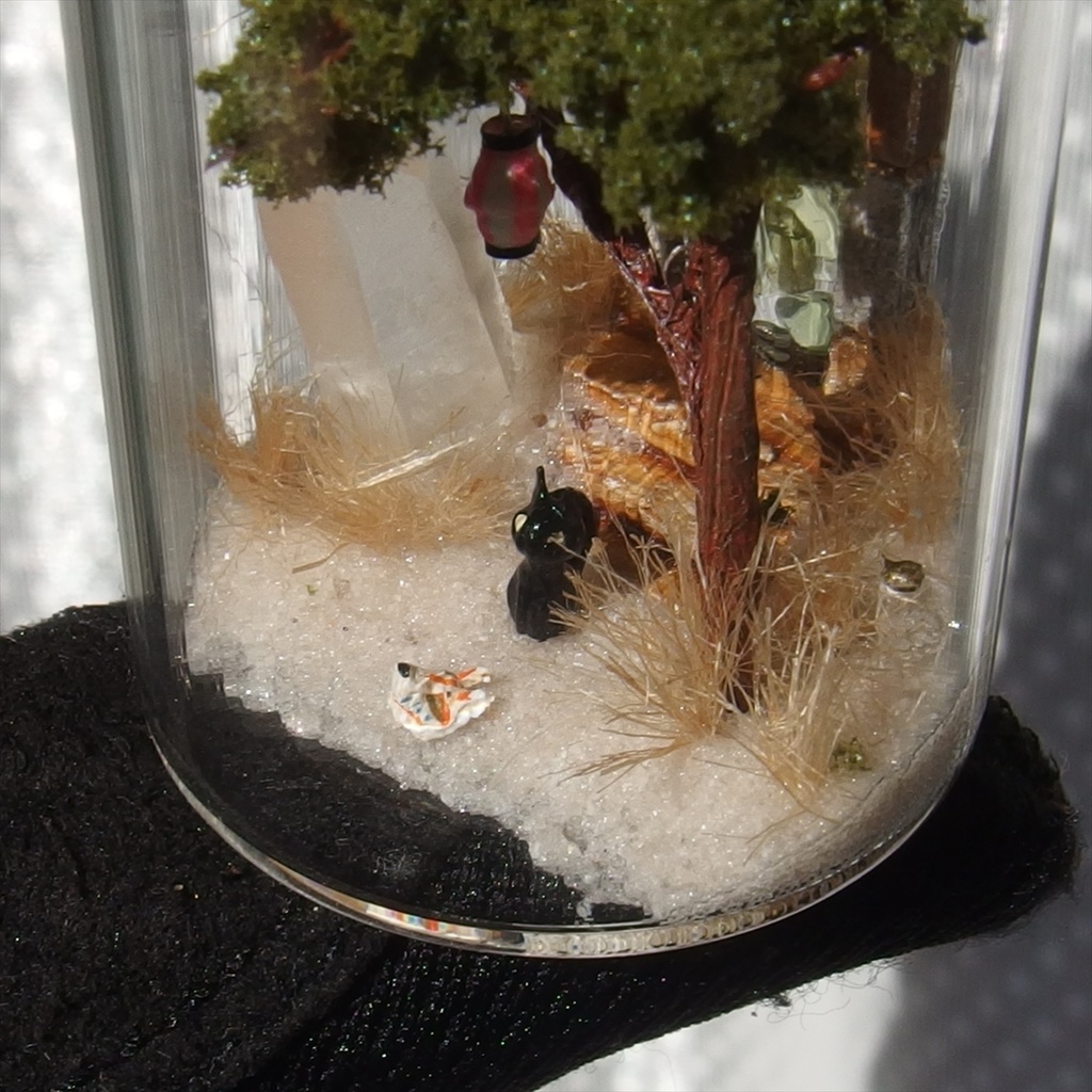 20240720 猫とポータル③