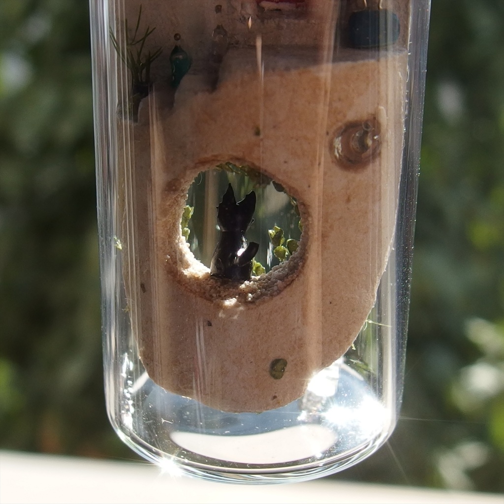 20240720 円筒路地・BARの玄関とお面屋