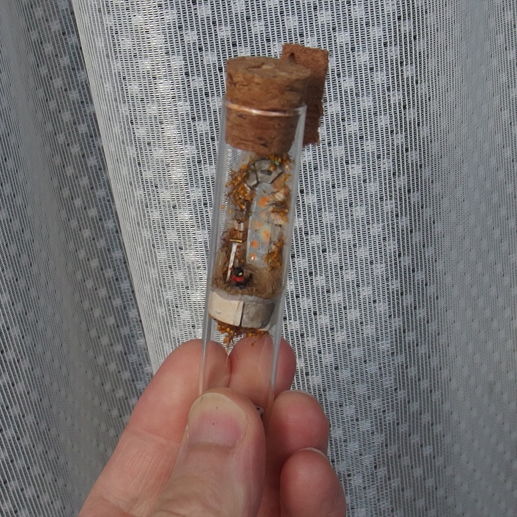 20250208 猫とサイコロ①