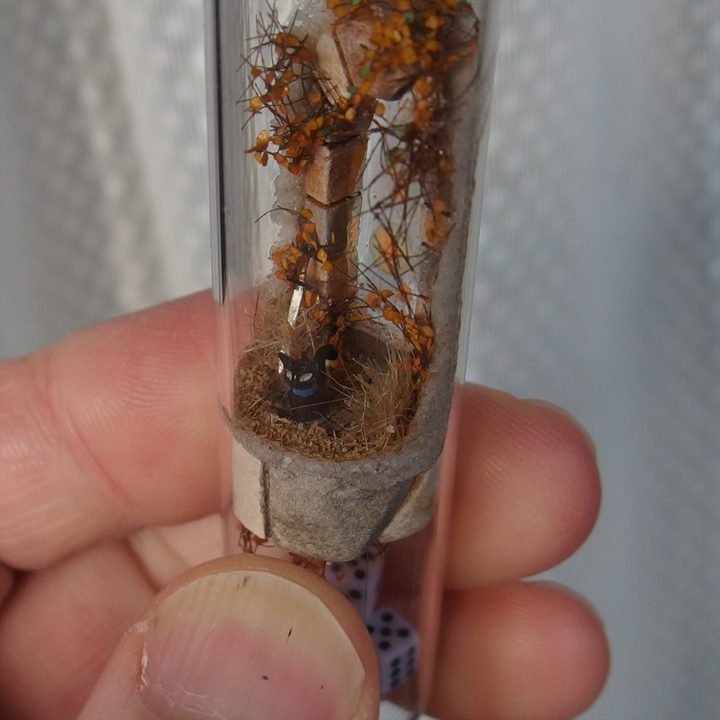 20250208 猫とサイコロ②