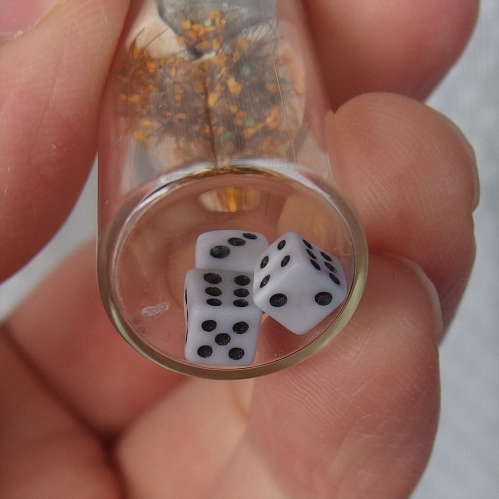 20250208 猫とサイコロ②