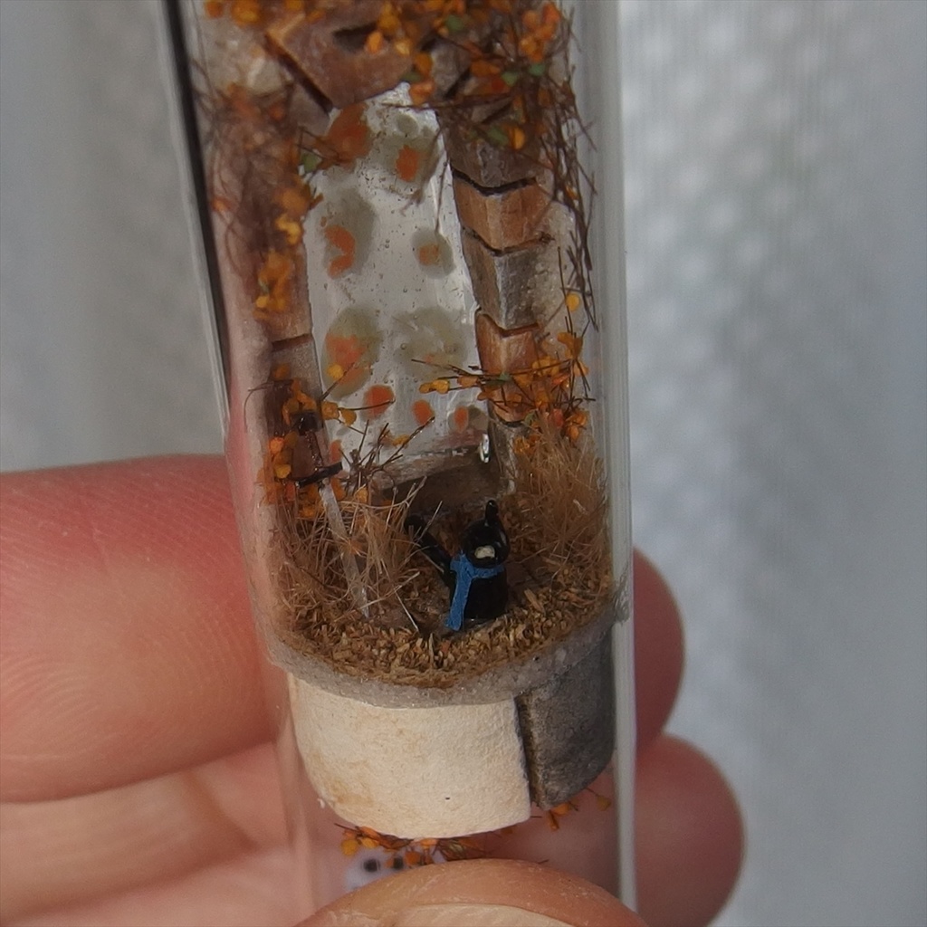 20250208 猫とサイコロ②