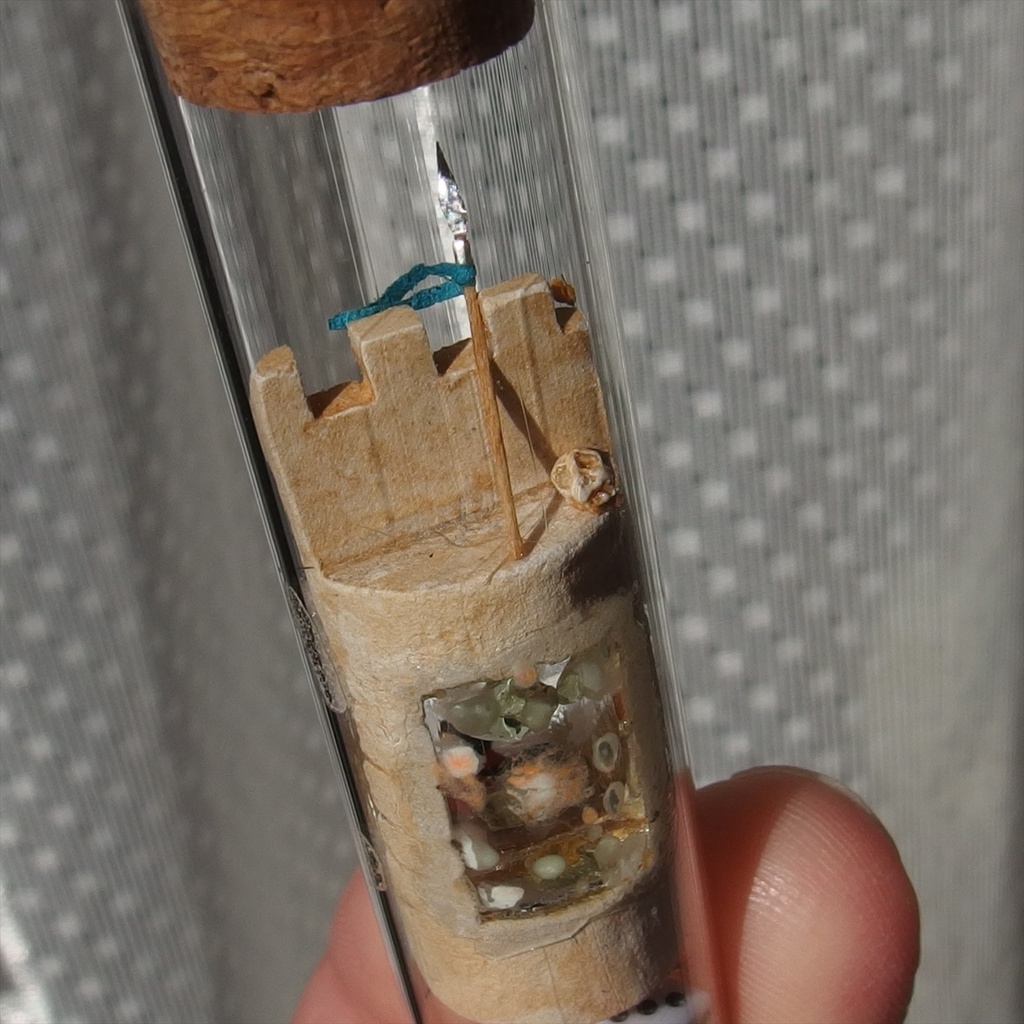 20250208 猫と胸壁のある門