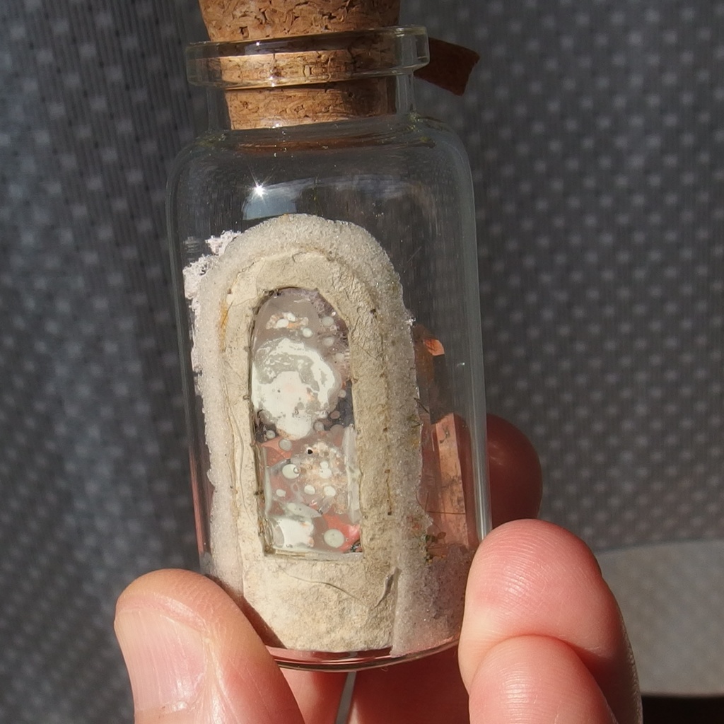 20250601 猫とポータル①