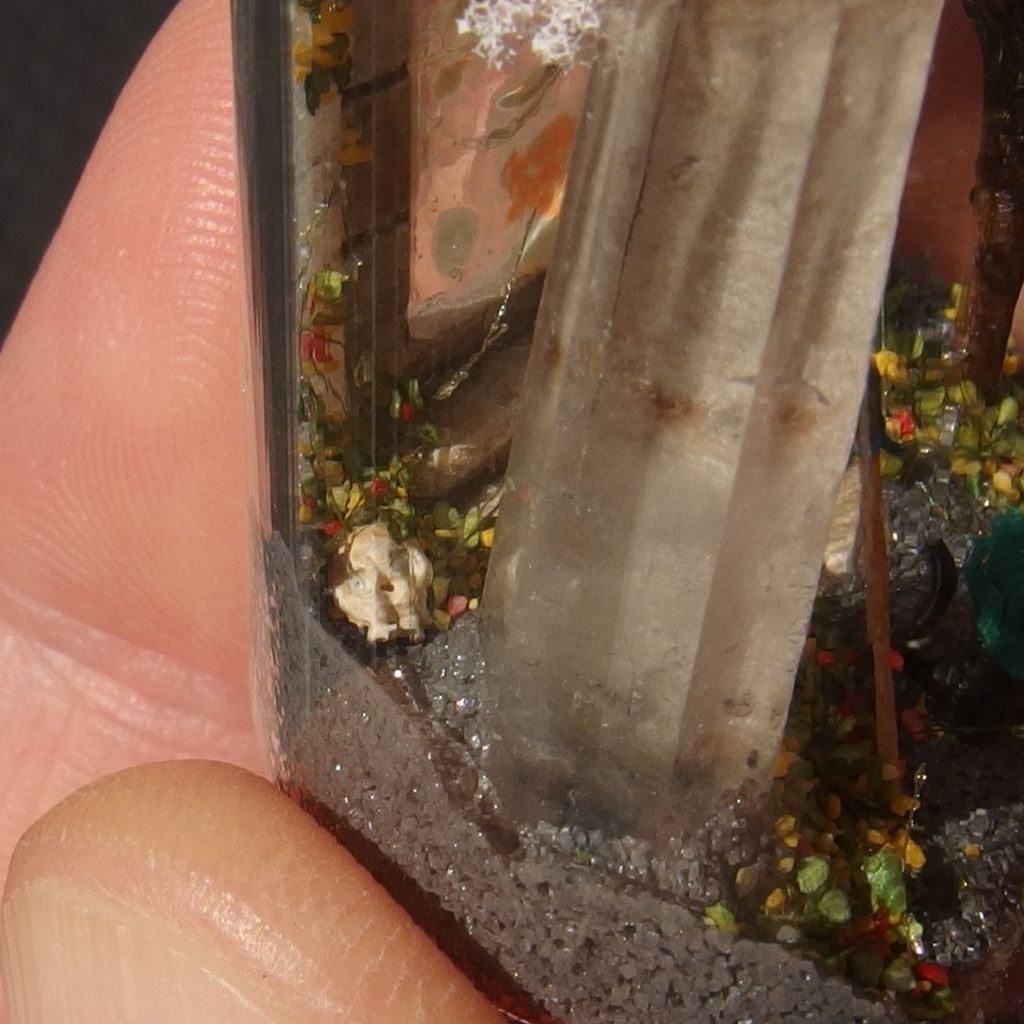 20250601 猫とポータル①