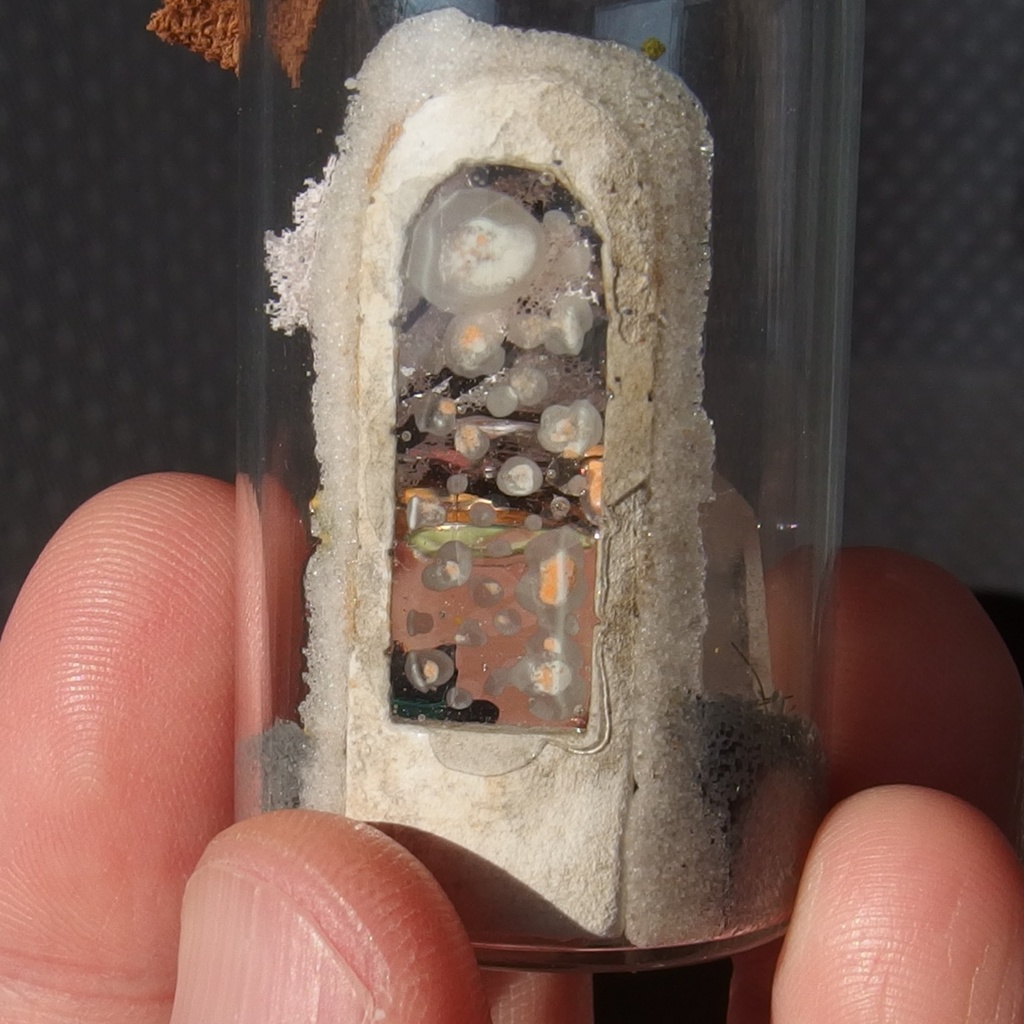 20250601 猫とポータル②