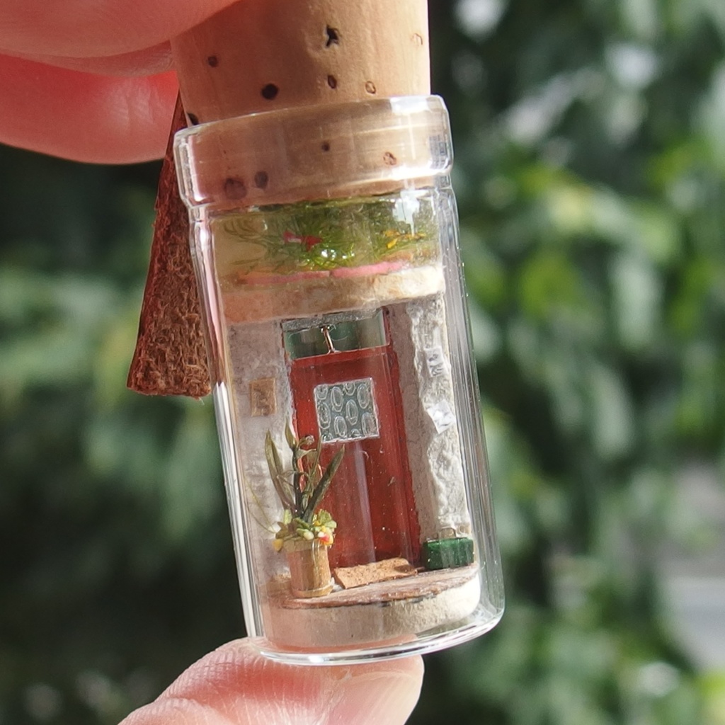 20250601 猫と玄関①