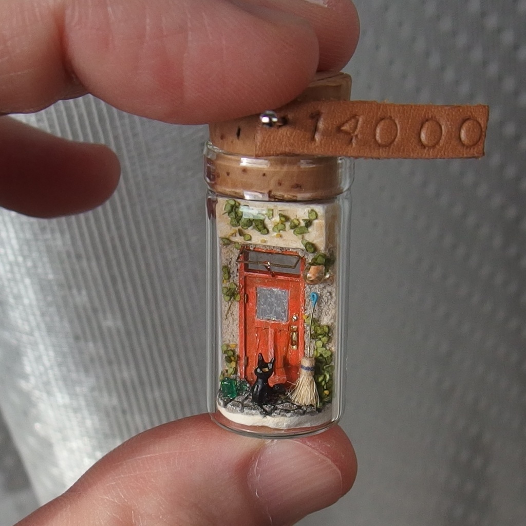 20250601 猫と玄関①