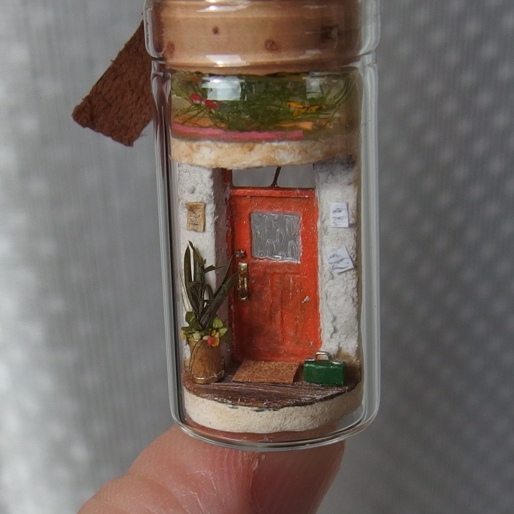 20250601 猫と玄関①