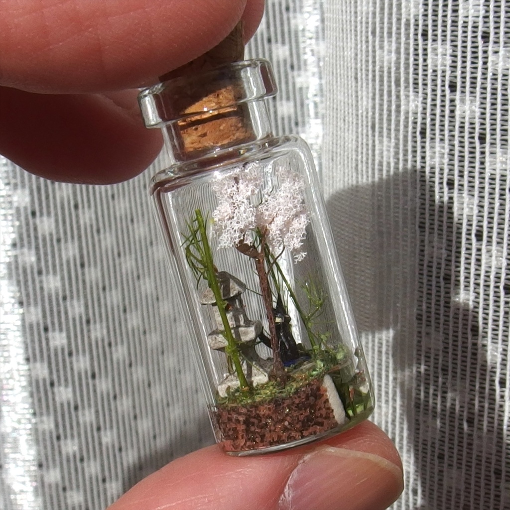 20250830 箱入り小瓶・ 猫と日本庭園