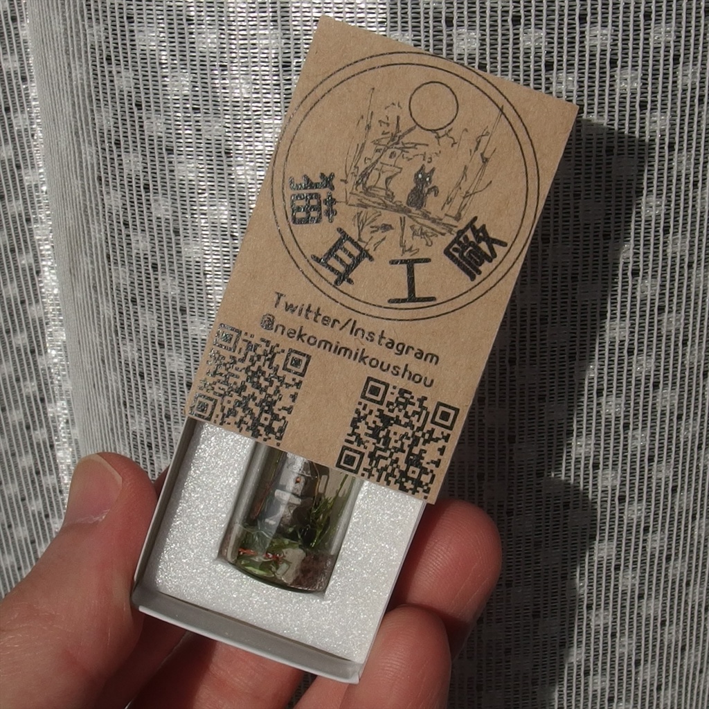 20250830 箱入り小瓶・ 猫と日本庭園