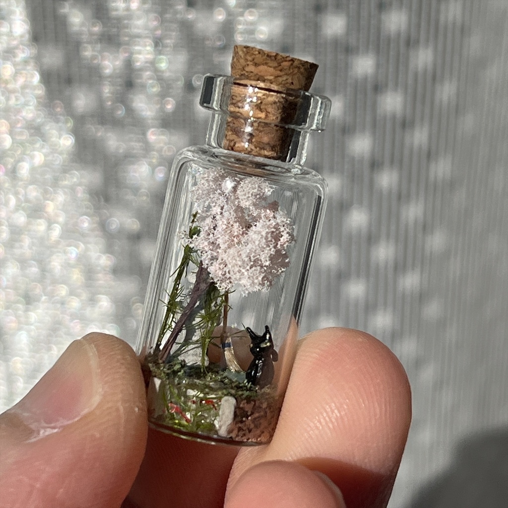 20260208 箱入り小瓶・猫と日本庭園