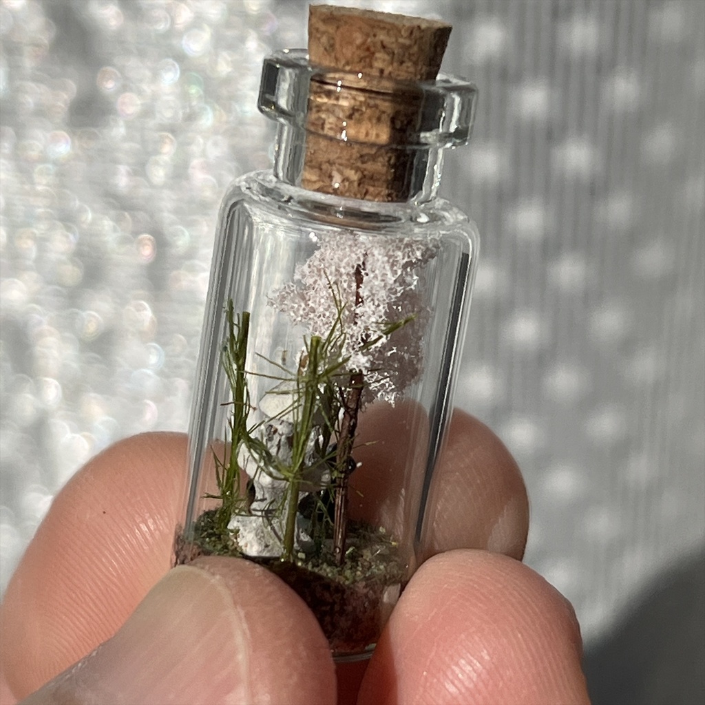 20260208 箱入り小瓶・猫と日本庭園