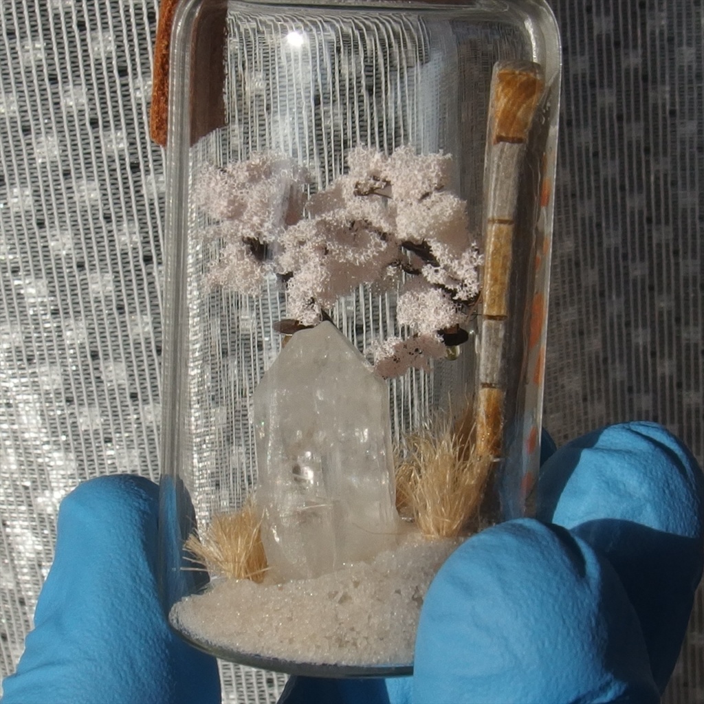 20260418 猫とポータル