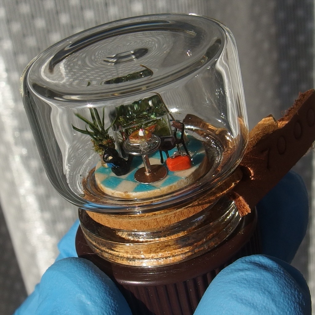 20260321 猫とレストラン①