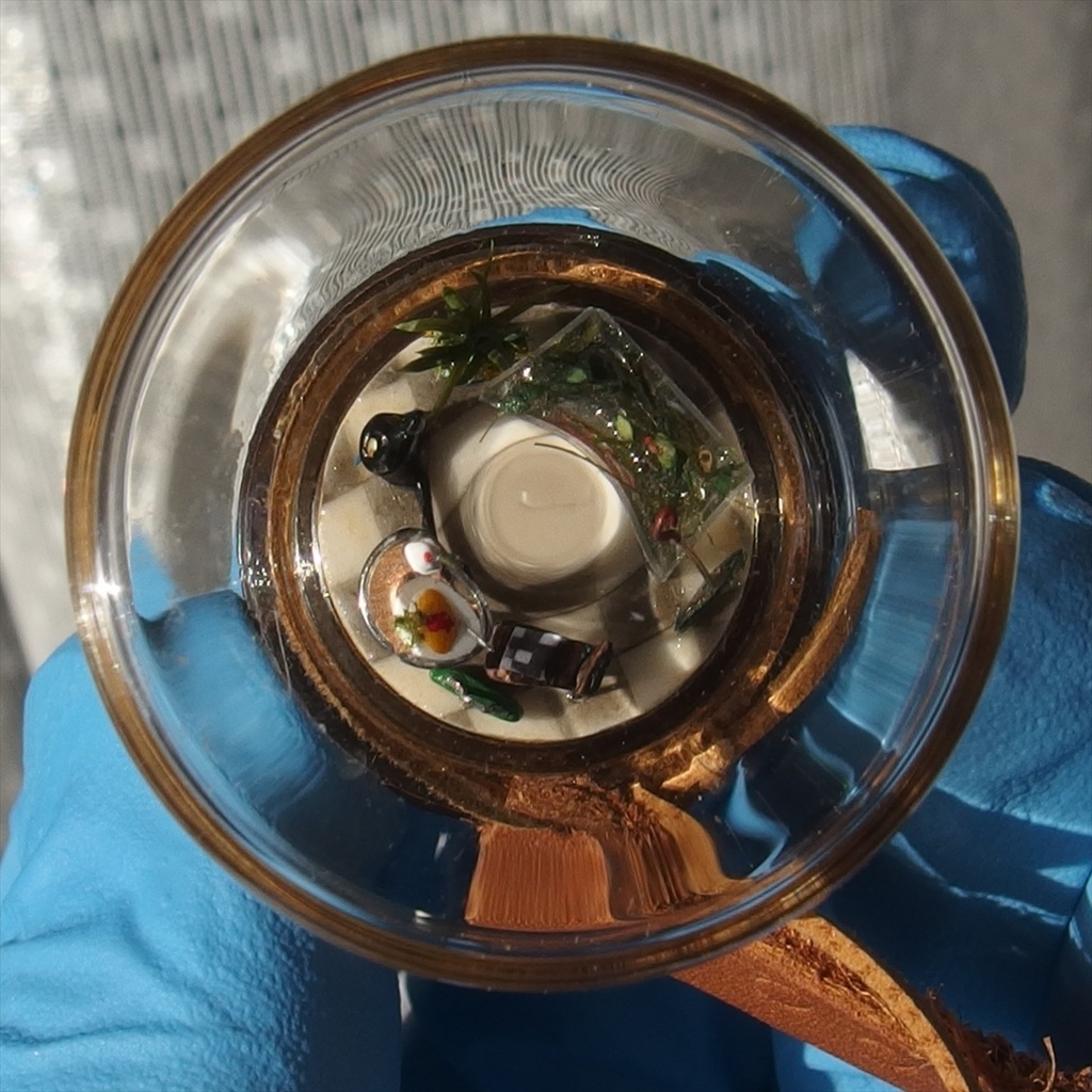 20260321 猫とレストラン②