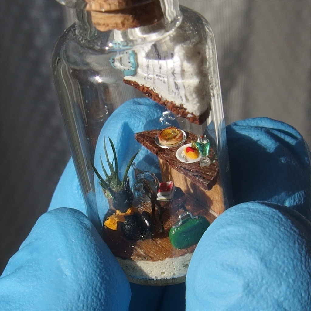 20260321 箱入り小瓶・猫と食堂