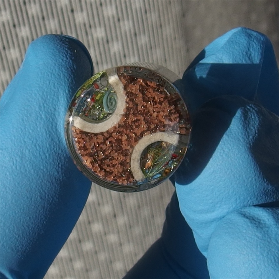 20260418 箱入り小瓶・猫と日本庭園