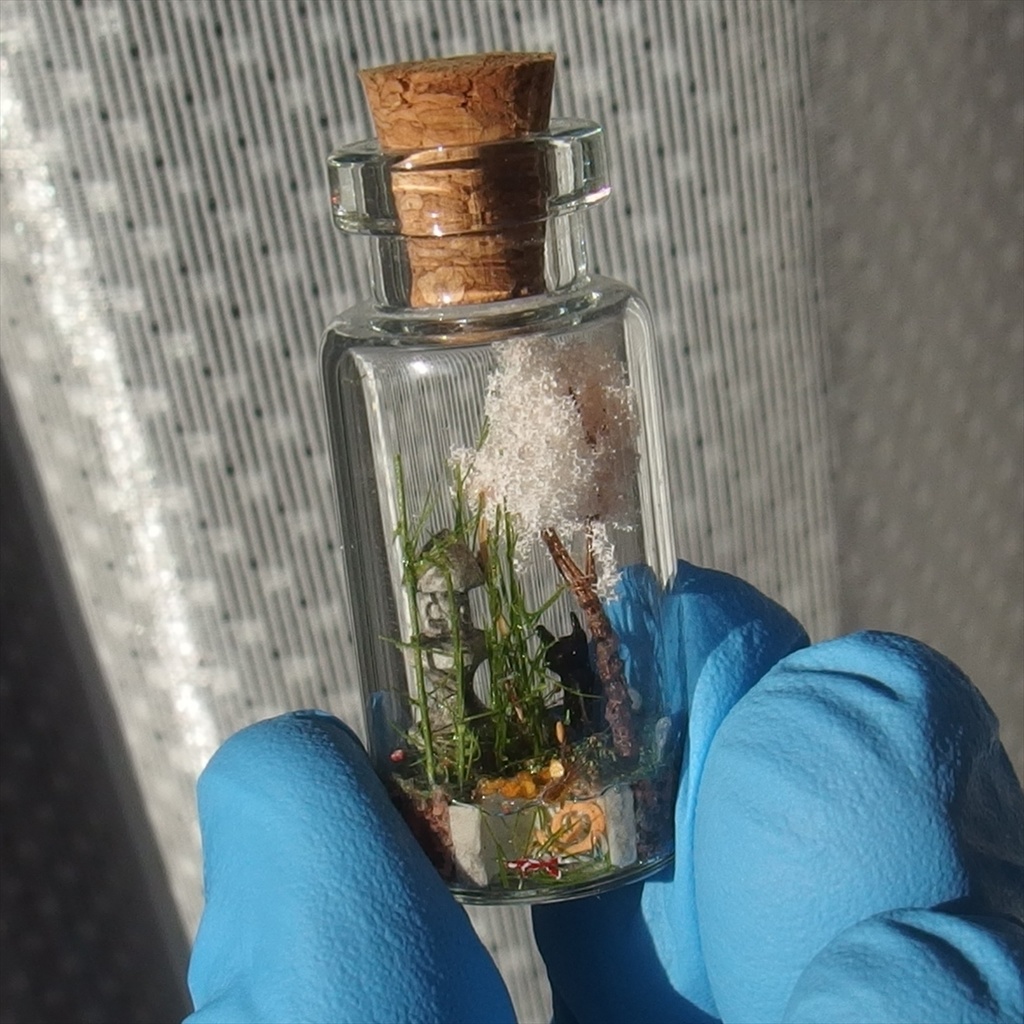 20260418 箱入り小瓶・猫と日本庭園