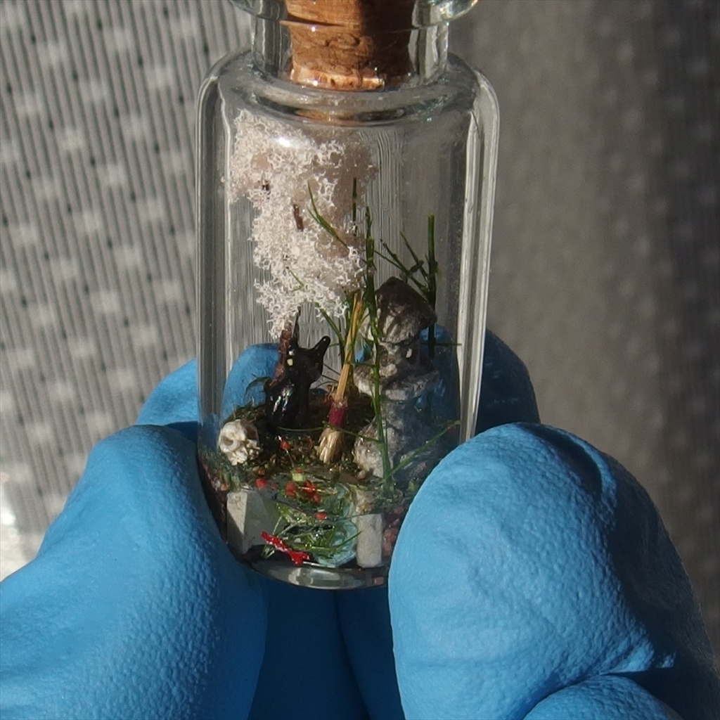 20260418 箱入り小瓶・猫と日本庭園