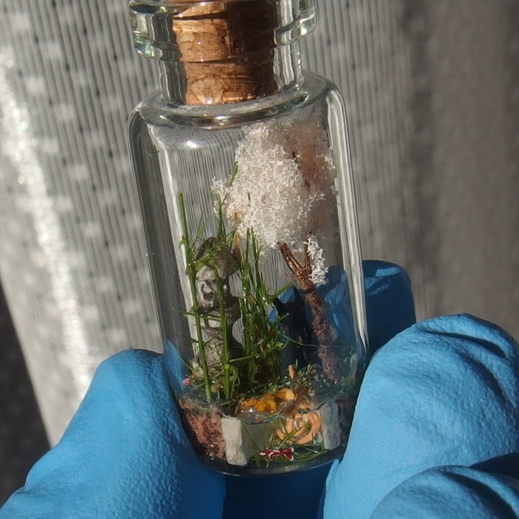 20260418 箱入り小瓶・猫と日本庭園