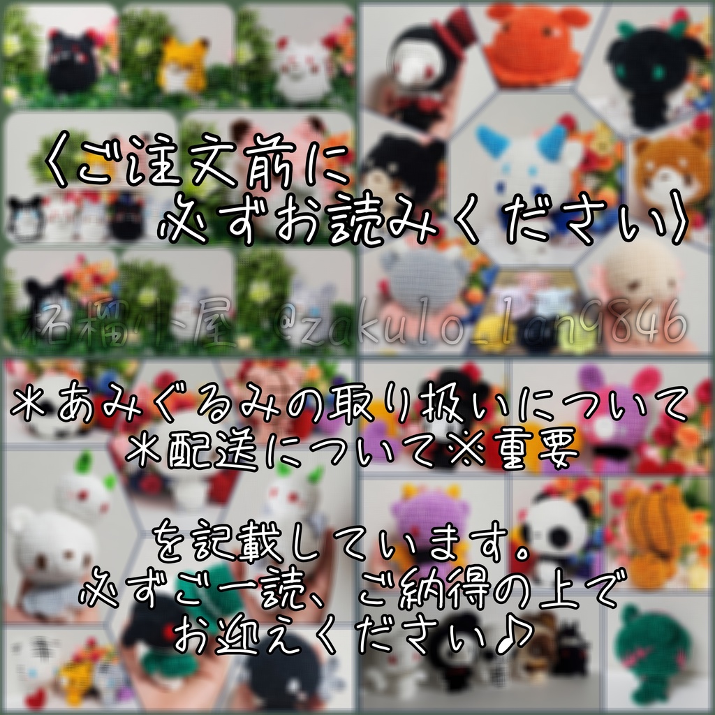 〈ご注文前に必ずお読みください〉