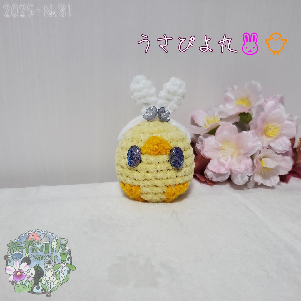 【2025-81】うさぴよ丸 ⸜🐰🐥⸝‍