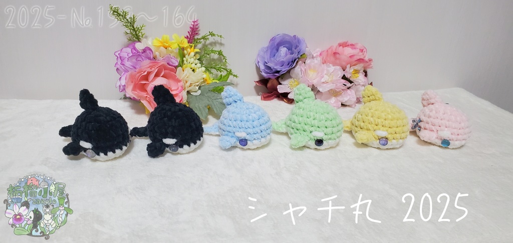 ラスト黄色のみ!【№159〜164】シャチ丸