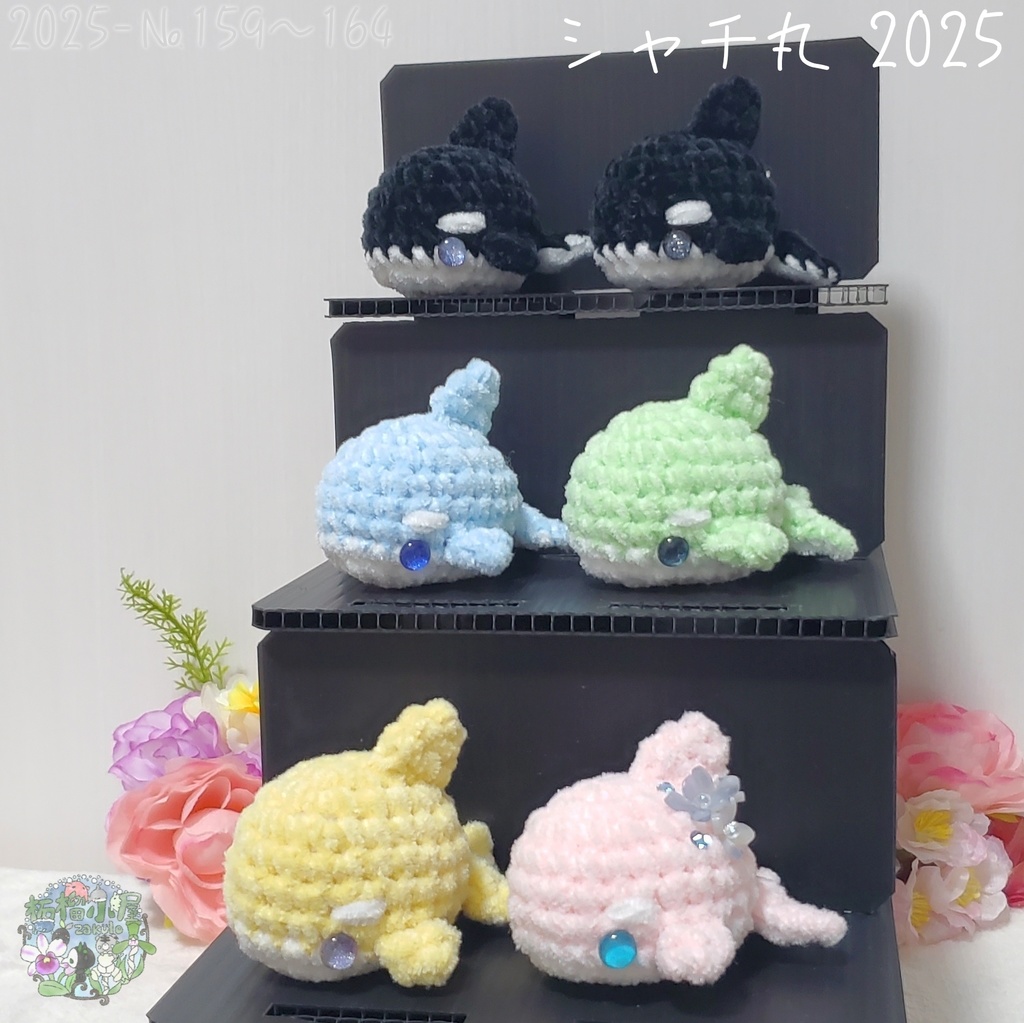 ラスト黄色のみ!【№159〜164】シャチ丸