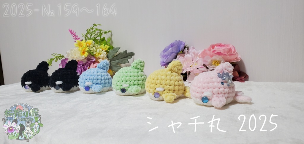 ラスト黄色のみ!【№159〜164】シャチ丸