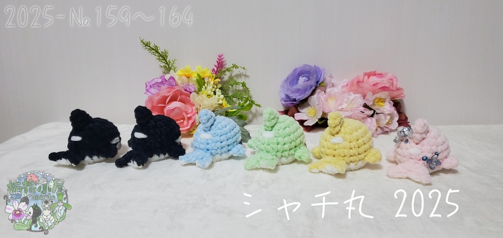 ラスト黄色のみ!【№159〜164】シャチ丸