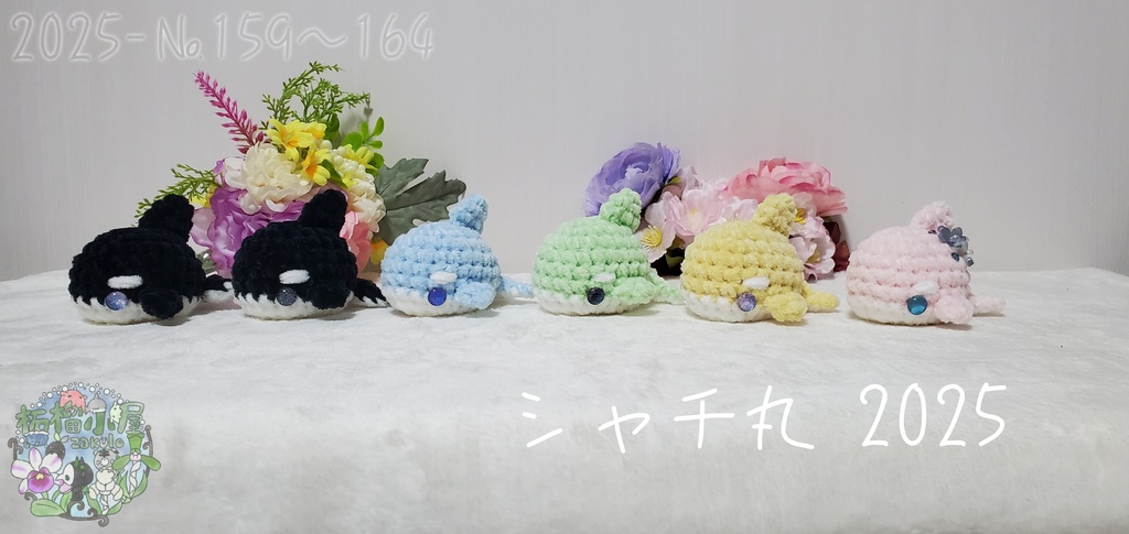 限定SALE✨【№159〜164】シャチ丸