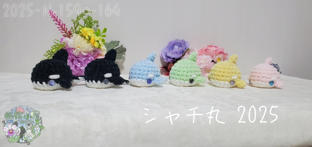 ラスト黄色のみ!【№159〜164】シャチ丸