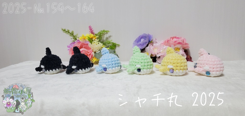 ラスト黄色のみ!【№159〜164】シャチ丸