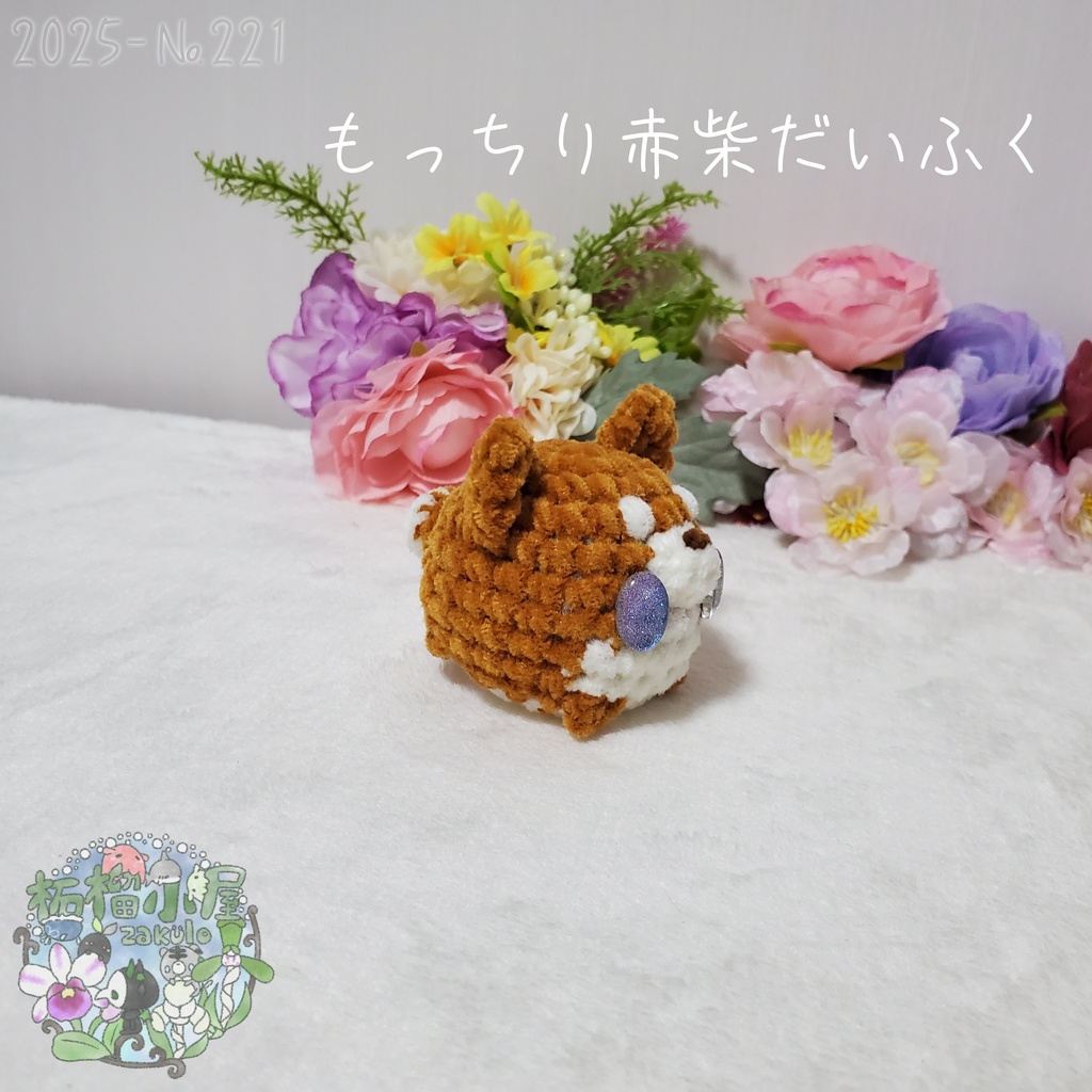 【2025】赤柴だいふく