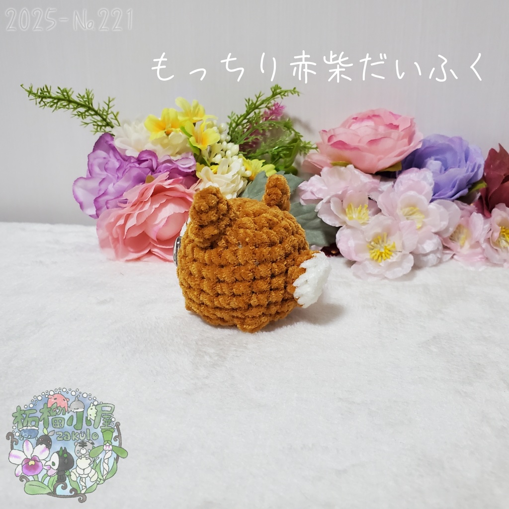 【2025】赤柴だいふく