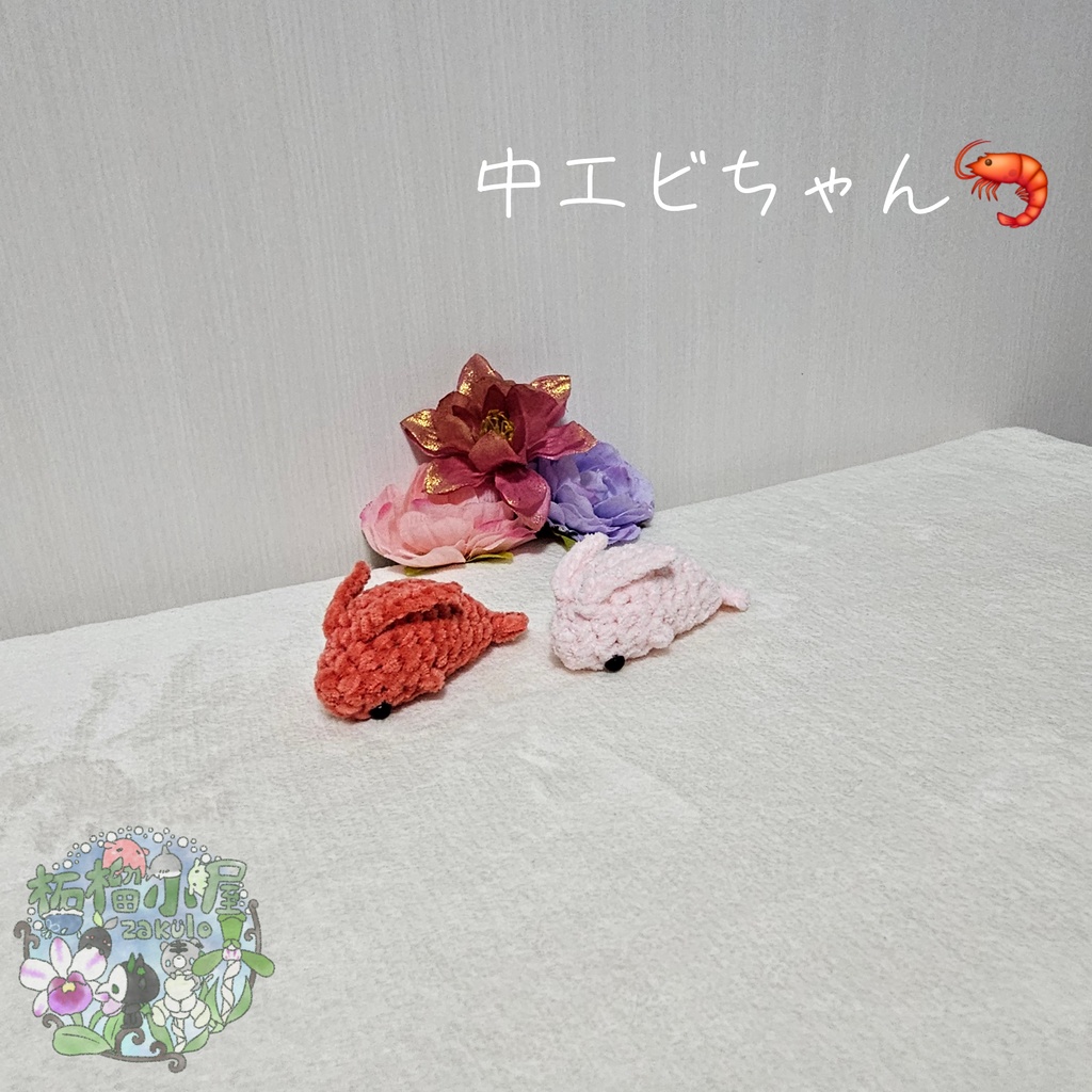 中 エビちゃん (えび 海老)