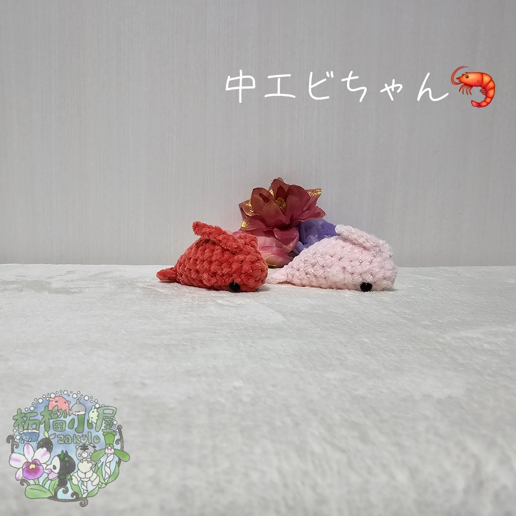 中 エビちゃん (えび 海老)