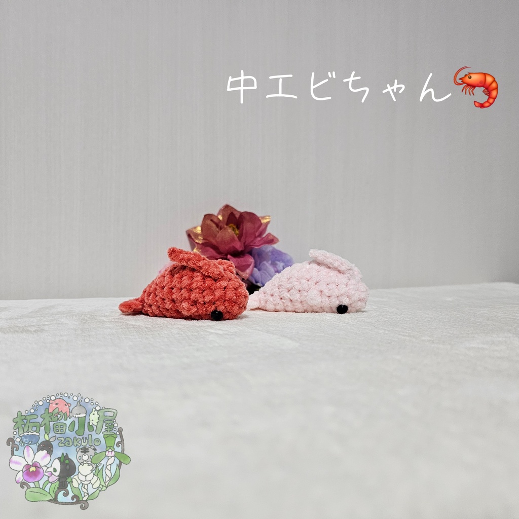 中 エビちゃん (えび 海老)