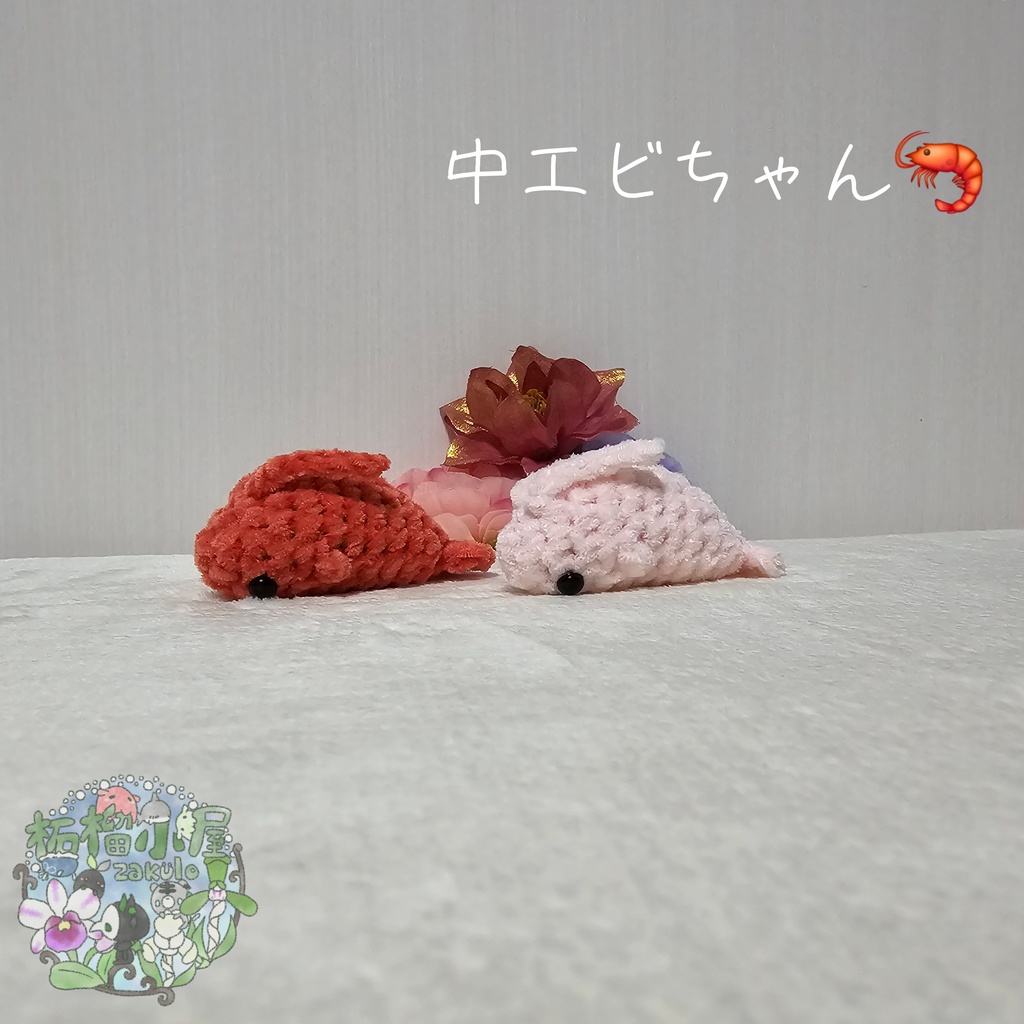 中 エビちゃん (えび 海老)