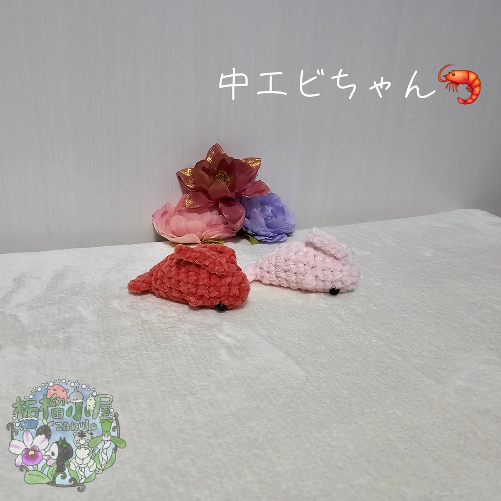 中 エビちゃん (えび 海老)