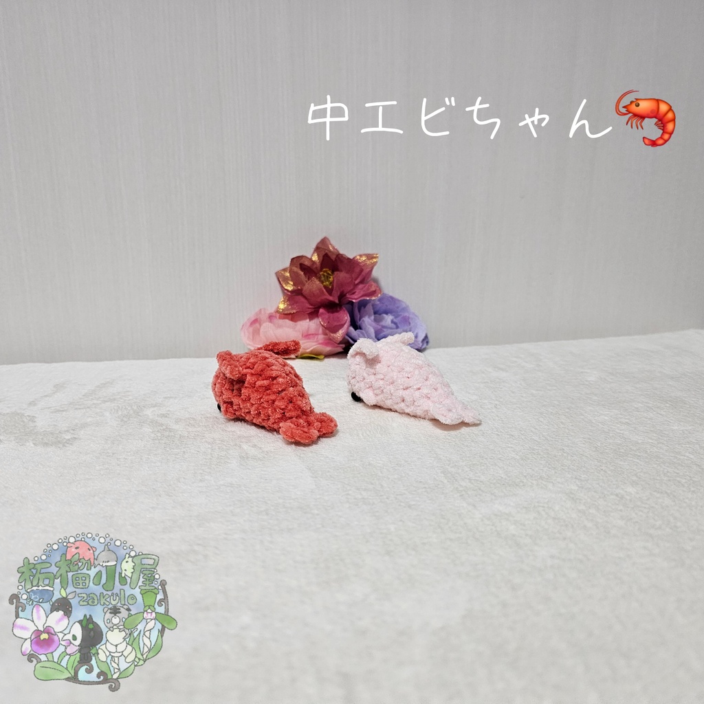 中 エビちゃん (えび 海老)