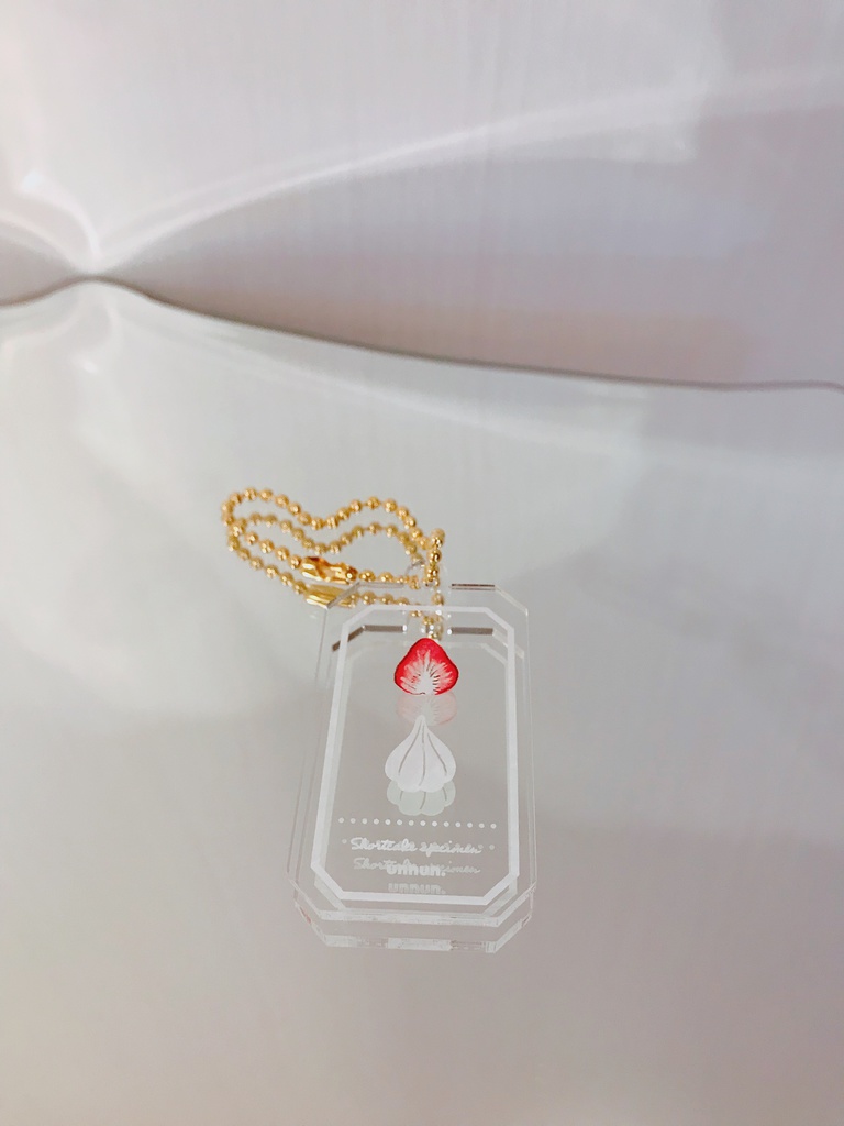 【再販】ショートケーキの標本キーホルダー