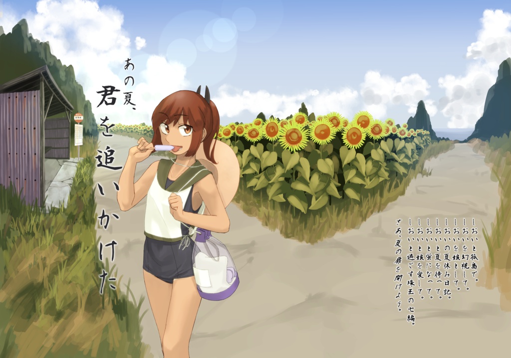 あの夏、君を追いかけた