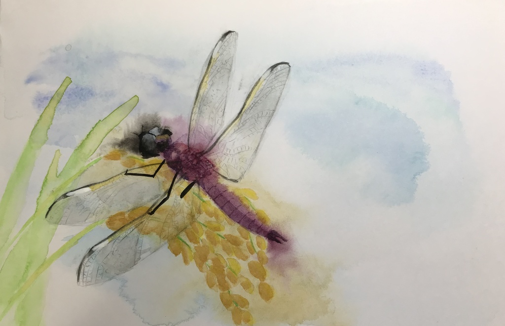 CoCシナリオ 蜻蛉がえり