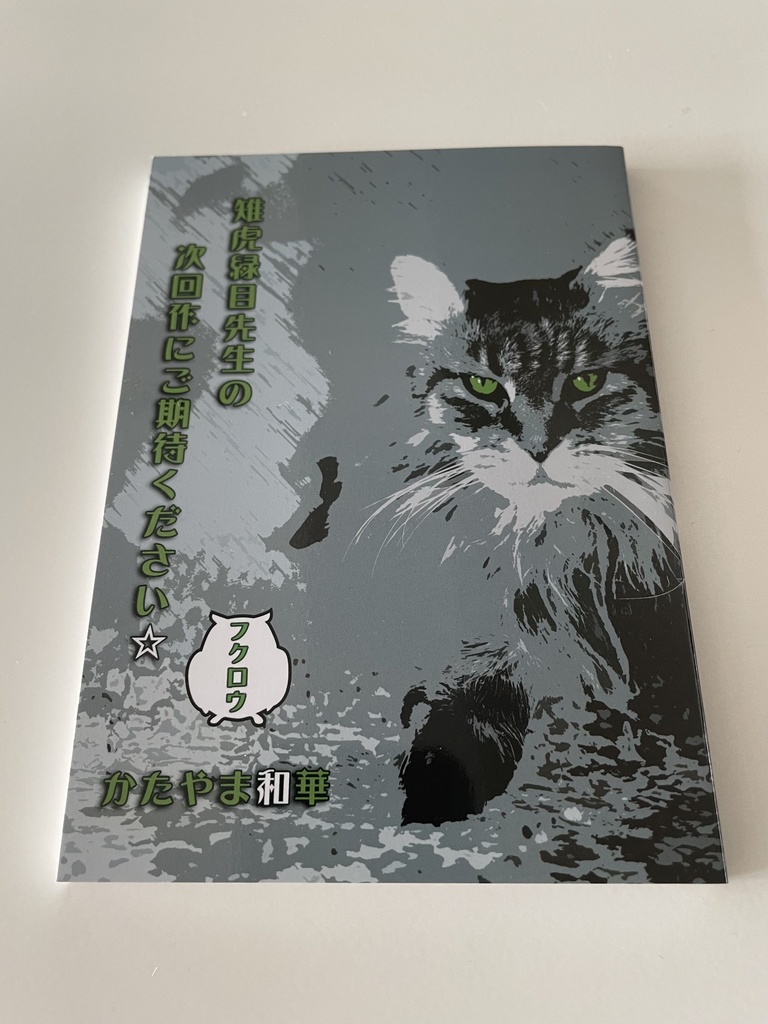 雉虎緑目先生の次回作にご期待ください☆ フクロウ