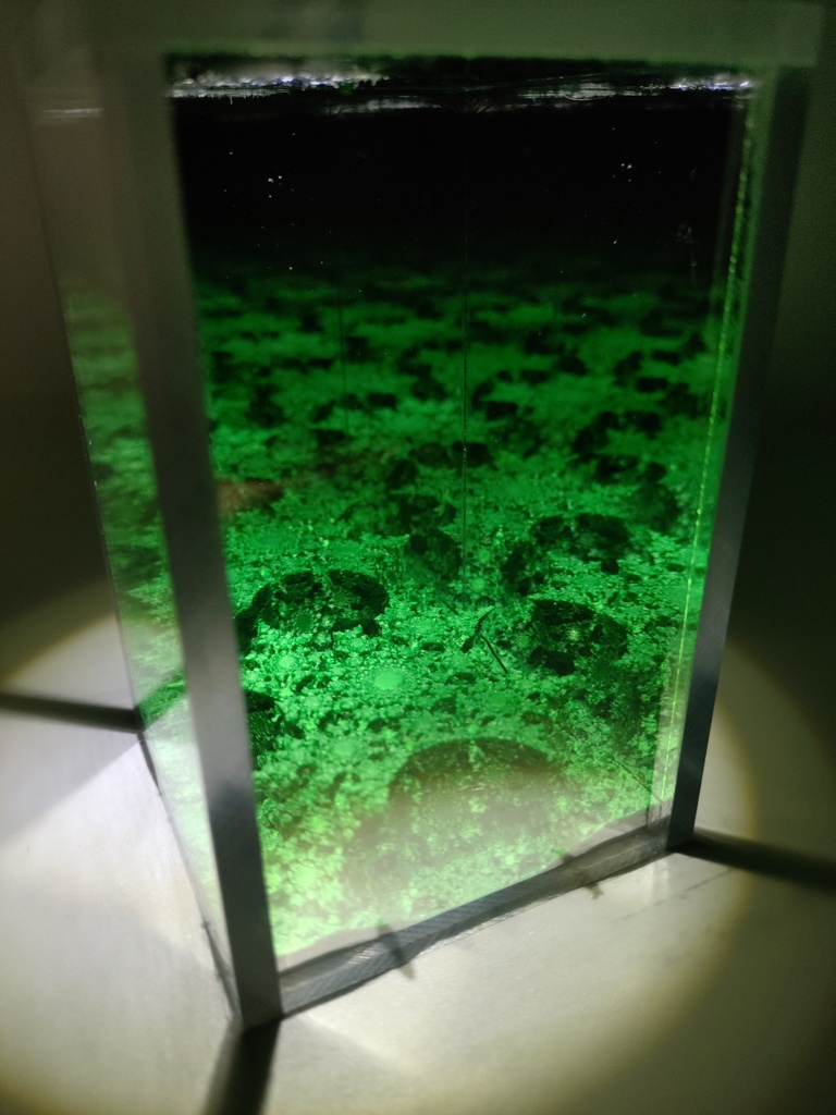 インフィニティフラクタルボックス S (Leaf)